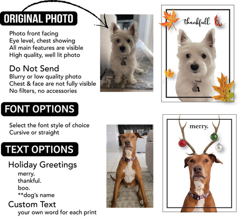 Personalized Pet Photo Holiday & Standard Prints - PrintChicks