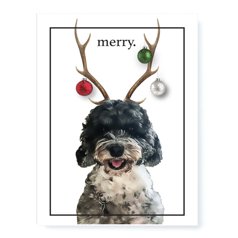 Personalized Pet Photo Holiday & Standard Prints - PrintChicks