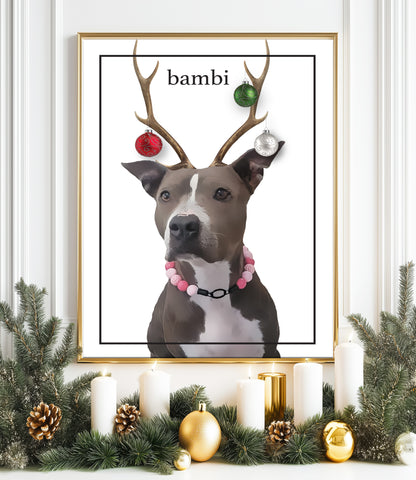 Personalized Pet Photo Holiday & Standard Prints - PrintChicks