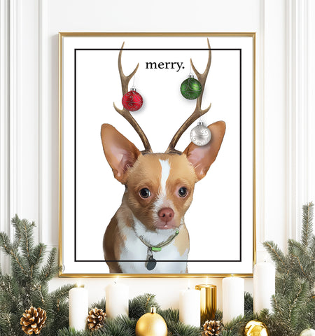 Personalized Pet Photo Holiday & Standard Prints - PrintChicks